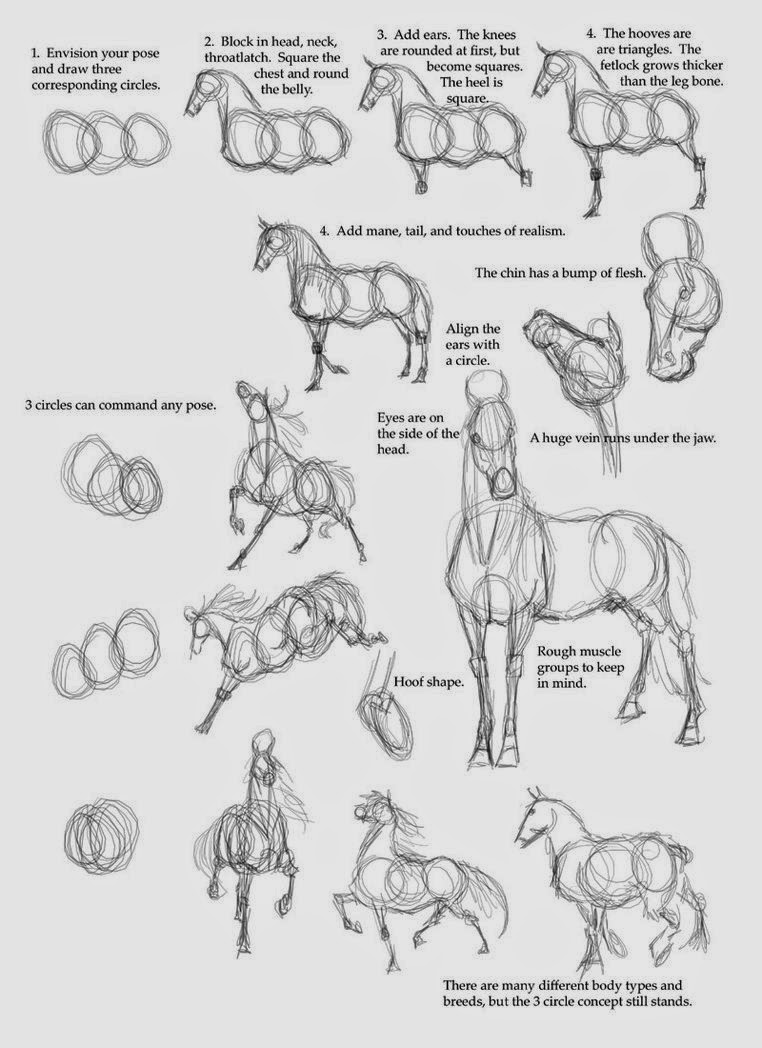 Art Blog for The Inspiration Place: how to draw a horse..