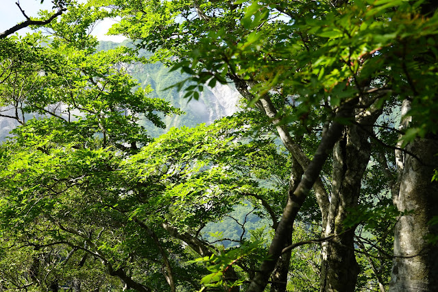 鳥取県西伯郡大山町大山　だいせんホワイトリゾート国際エリアの尾根道からの眺望