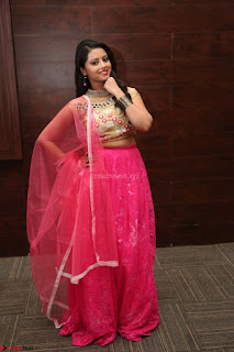 Geethanjali sizzles in Pink at Mixture Potlam Movie Audio Launch 025.JPG