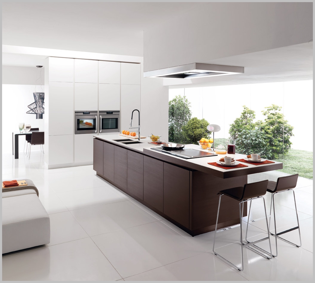 Modern Minimalist  Kitchen  Design  Classic Elegance