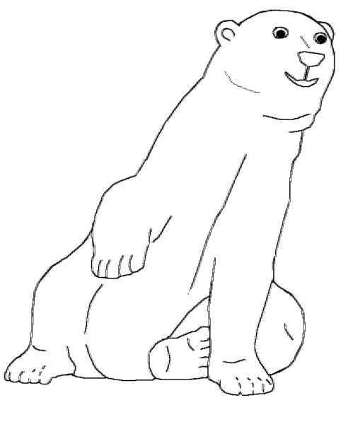 Polar Bear Printout- EnchantedLearning  - polar bear coloring pages
