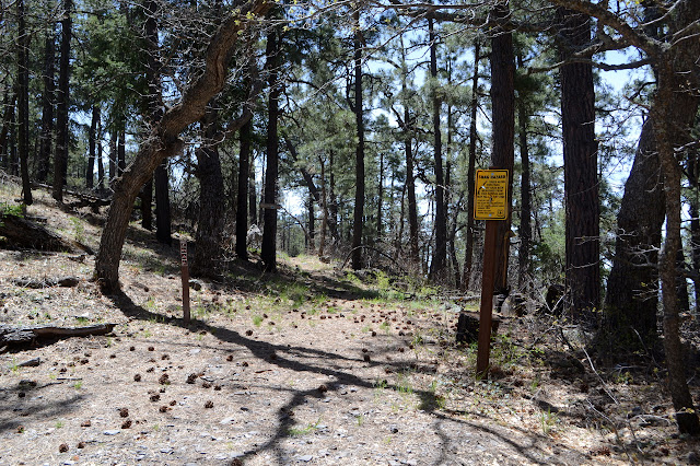 ridge top trail with signs to start it off