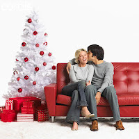 Romantic Christmas Couple