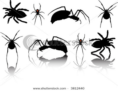 Tribal Animal Various Of Spiders Design Posted by imam at 83100 PM