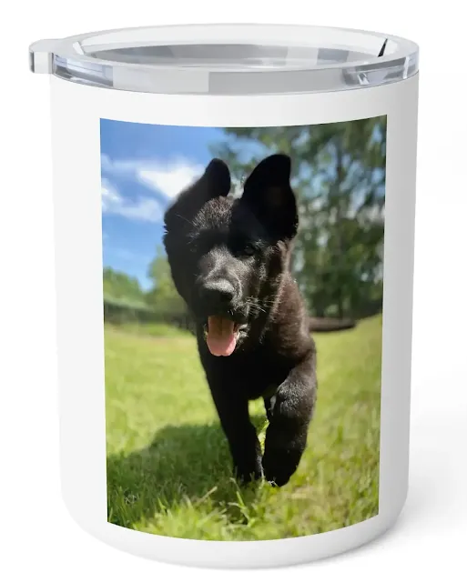 Insulated Stainless Steel Coffee Mug With European Solid Black German Shepherd Walking On a Grass