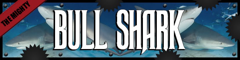 bull shark attack in lake michigan. ull shark attack in lake