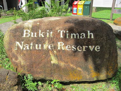 The-Bukit-Timah-Nature-Reserve-Singapore-relaxation-meditation-holiday