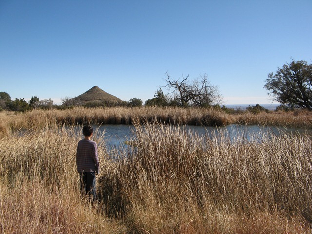 2011 11 21_1421