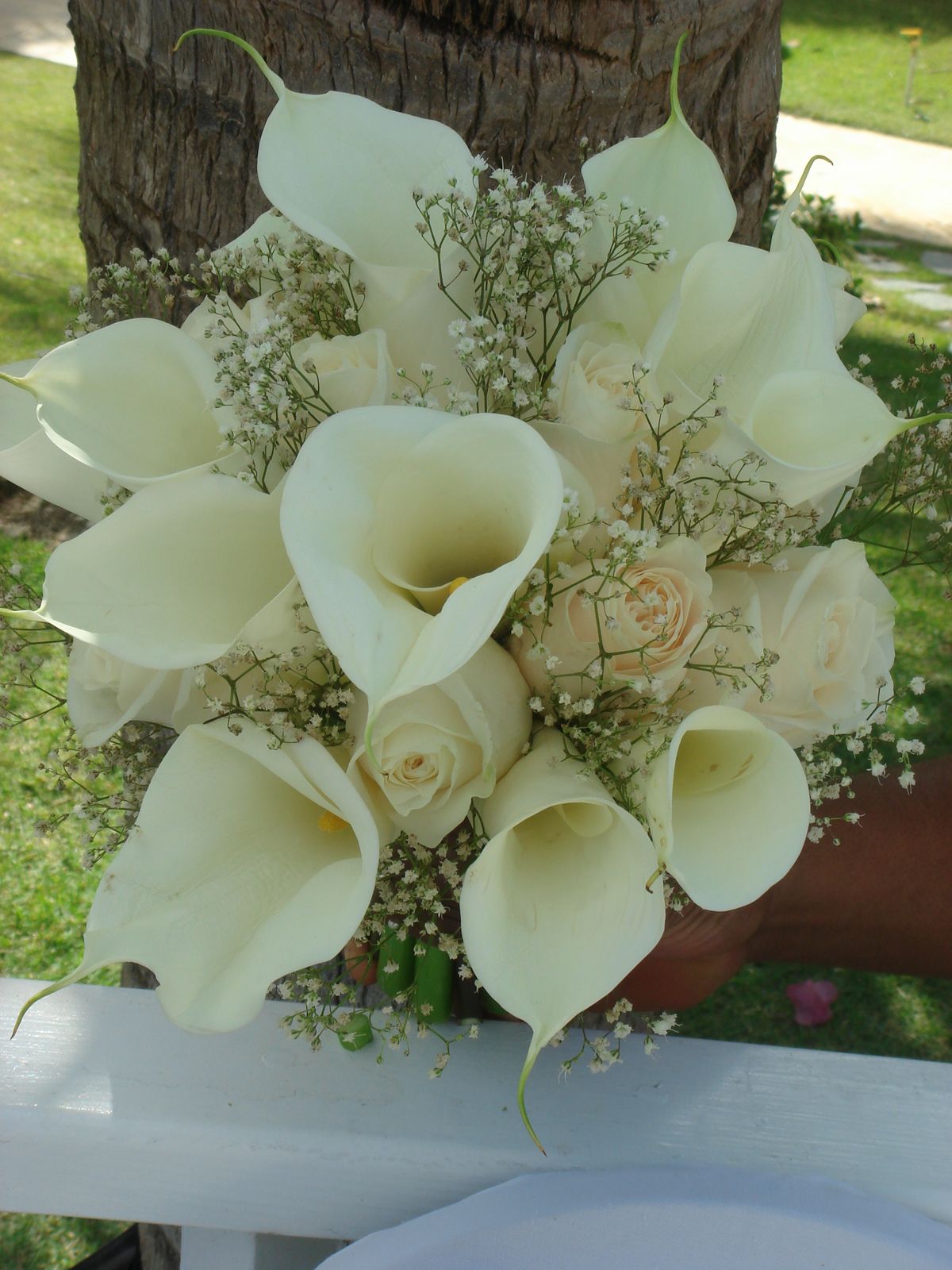 659 New bridal bouquet roses and baby's breath 157 Bouquet Bridal: White Calla Lilies, Roses and Baby's Breath Bouquet 