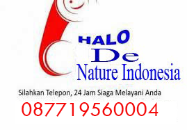 Obat Sipilis Herbal