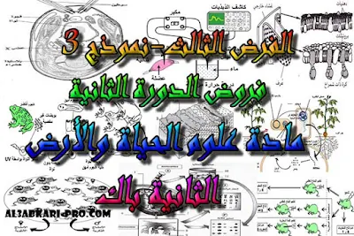 تحميل الفرض الثالث- نموذج 3 - مادة علوم الحياة والأرض الدورة الثانية للسنة الثانية باك علوم فيزيائية , درس , ملخص , تمارين , امتحان وطني , امتحانات وطنية علوم الحياة والارض , علوم الحياة والارض , فروض علوم الحياة والارض , الثانية باك , بكالوريا, تعلم اللغات , دروس اونلاين