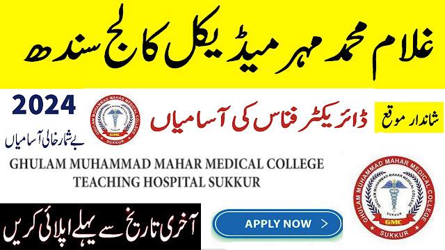 Ghulam Muhammad Mahar Medical College  Director Finance Jobs 2024