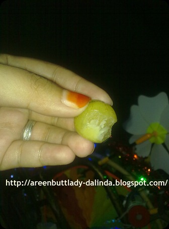 Dalindareen6067