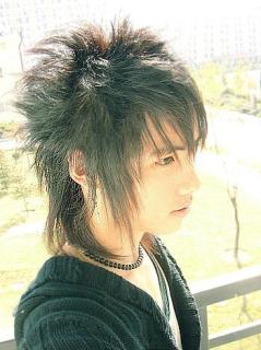 Hati Net Gaya Fashion Rambut  Emo dan Harajuku  Hair Style 