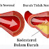 kolesterol di pembuluh darah yang sangat berbahaya