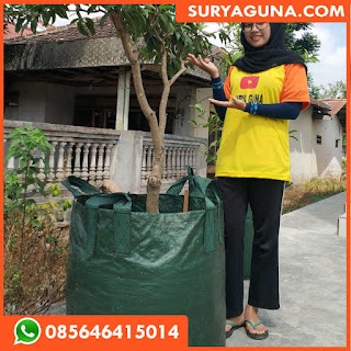 Planter Bag 100liter Murah 