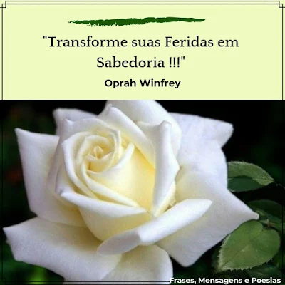 Frase de Oprah Winfrey