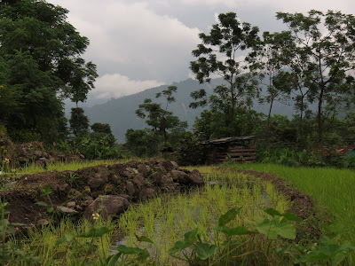 Bunkulung View