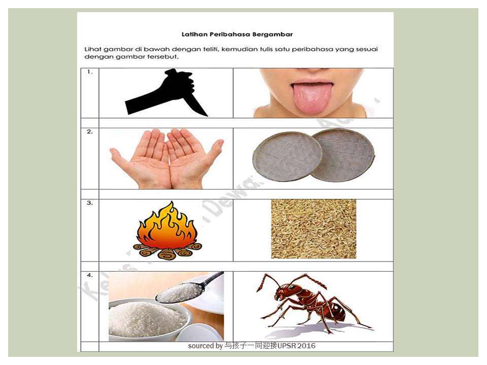 Contoh Jawapan Menulis Peribahasa Berdasarkan Gambar (UPSR 