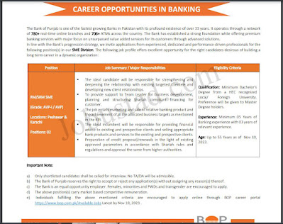 Jobs in Bank of Punjab 2023 Apply Online