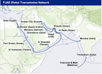 cable cut fever grips the web