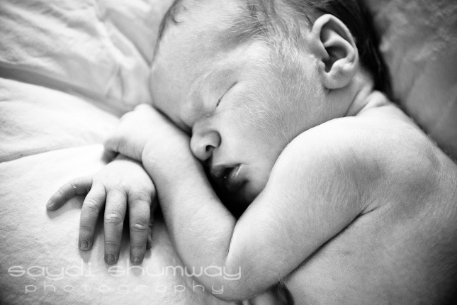 Baby Paige-9364