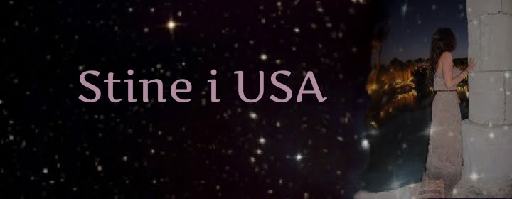 Stine i USA