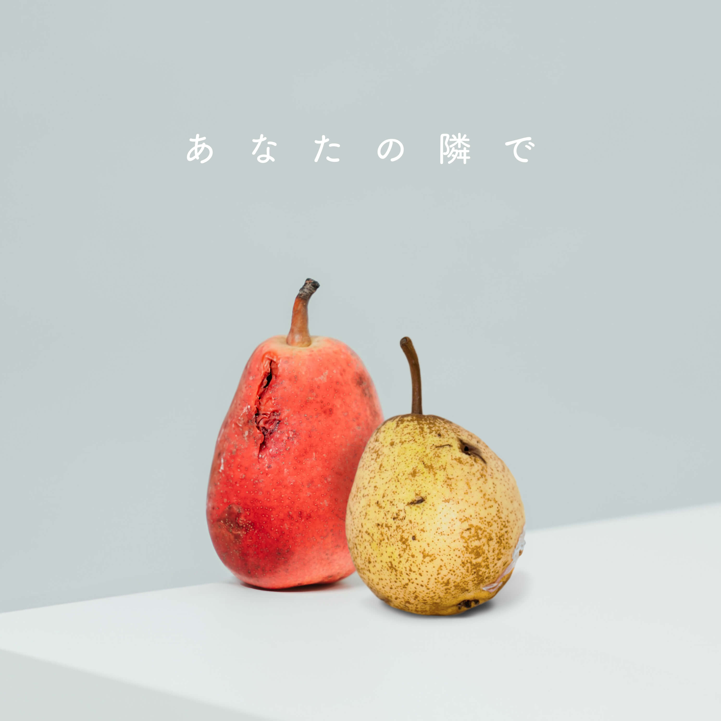wacci - あなたの隣で