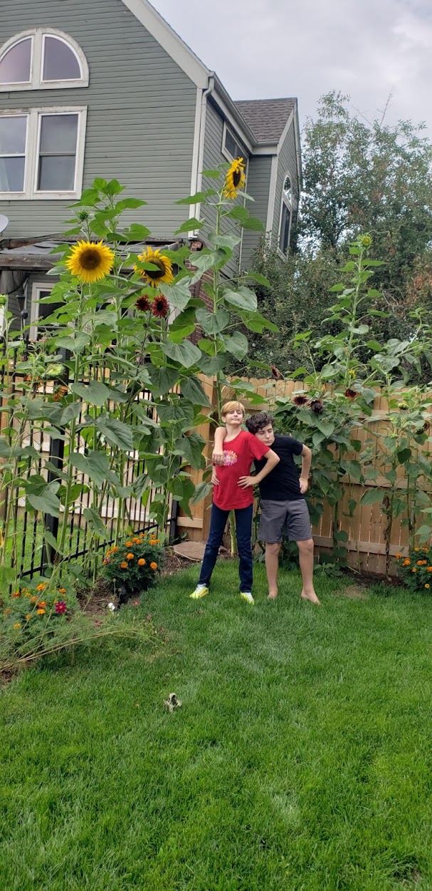 She's not actually taller than he is, but they're close enough that they're often mistaken for twins