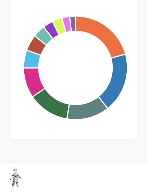 graph breakdown of my family history 