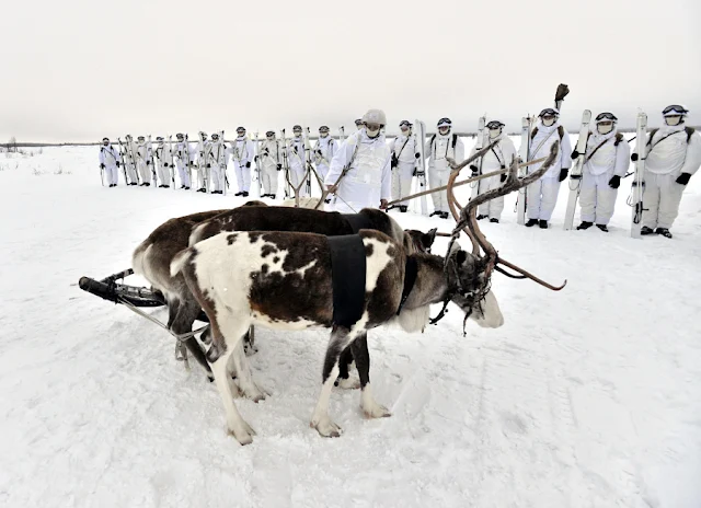 Image Attribute: Russian servicemen of the Northern Fleet's Arctic mechanized infantry brigade participate in a military drill on riding reindeer and dog sleds near the settlement of Lovozero outside Murmansk, Russia January 23, 2017. Picture was taken January 23, 2017. Lev Fedoseyev/Ministry of Defence of the Russian Federation/Handout via REUTERS