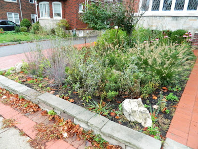 Midtown Toronto Fall Garden Cleanup before by Paul Jung Gardening Services