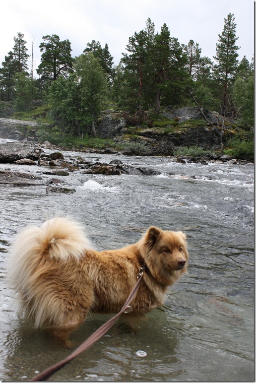 fossen på vei fra biri   luna 035