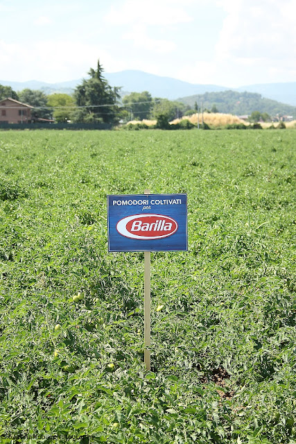 Guarda tu stesso, visita all'azienda Barilla