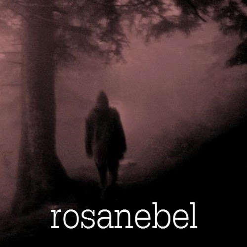 https://soundcloud.com/rosanebel
