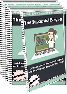 The Successful Blogger