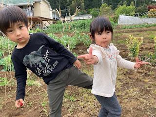 子どものための家庭菜園「いちご収穫！」