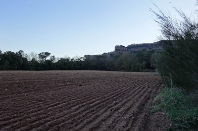 Els cingles de Vilanova i el puig del Far