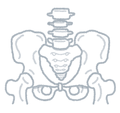 骨盤が広い人の特徴とは 原因やおすすめの改善方法をご紹介