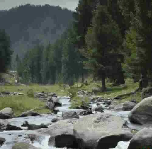 Relaxing Environment at Jabbad Brenwar