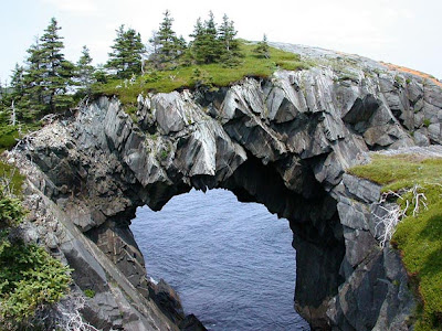 Berry Head, Newfoundland [CANADA]