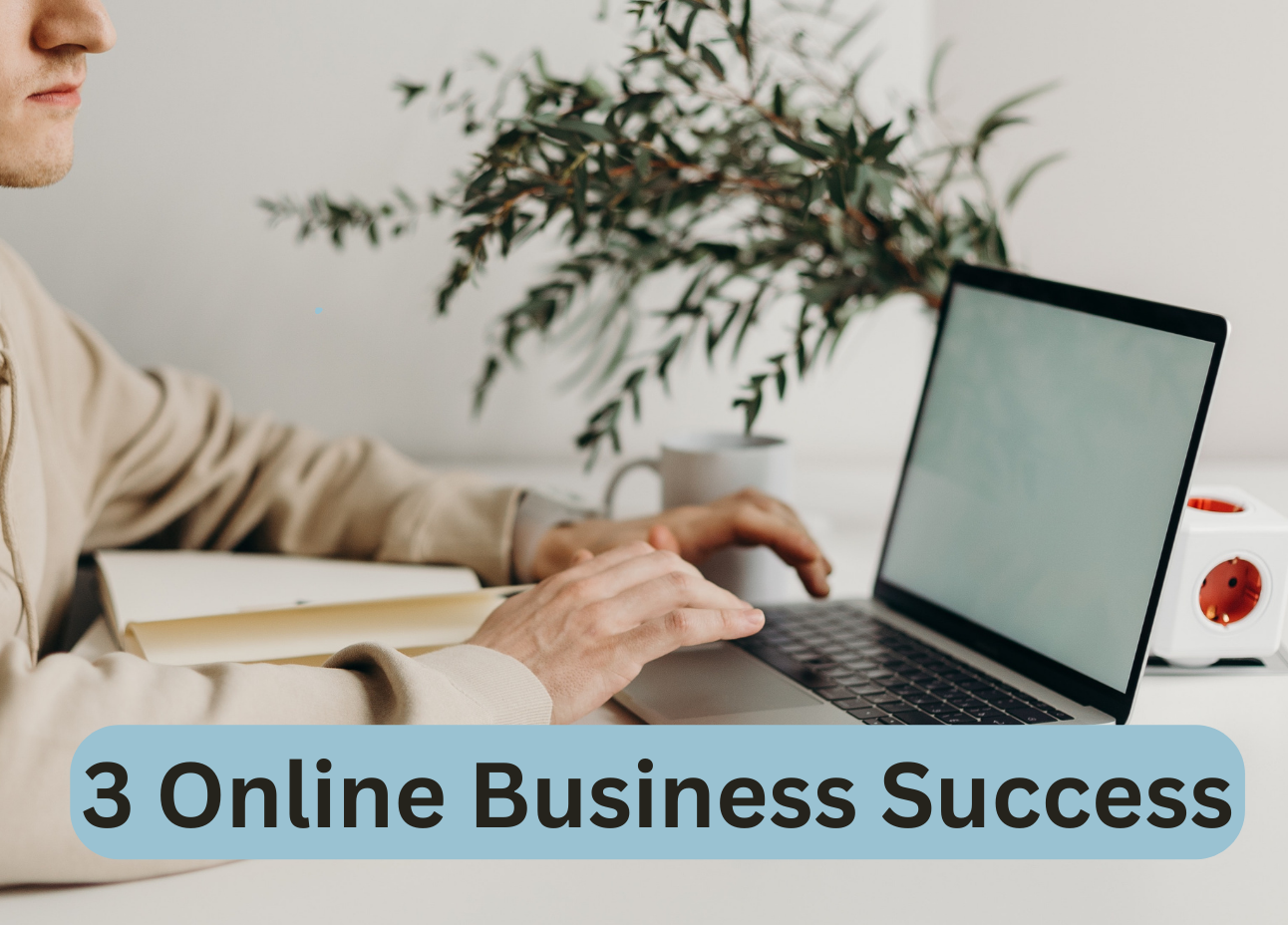 3 Online Business Success