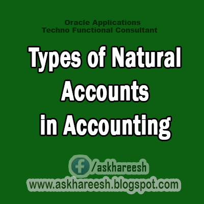 Types of Natural Accounts in Accounting, AskHareesh Blog for OracleApps