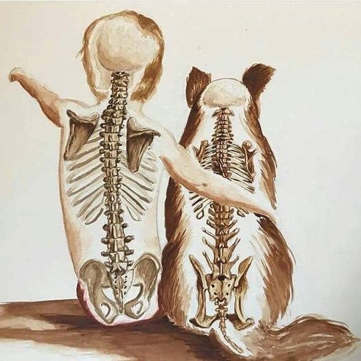 A Boy and a dog - Skeletons