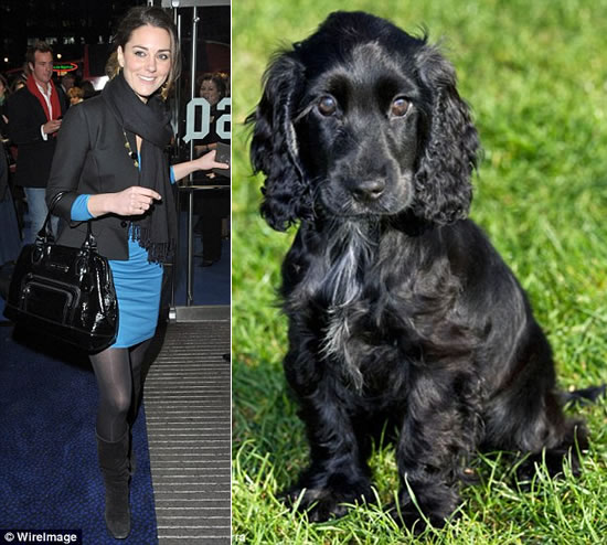 prince william drinking kate middleton uncle. Kate Middleton#39;s Dog, Otto Who