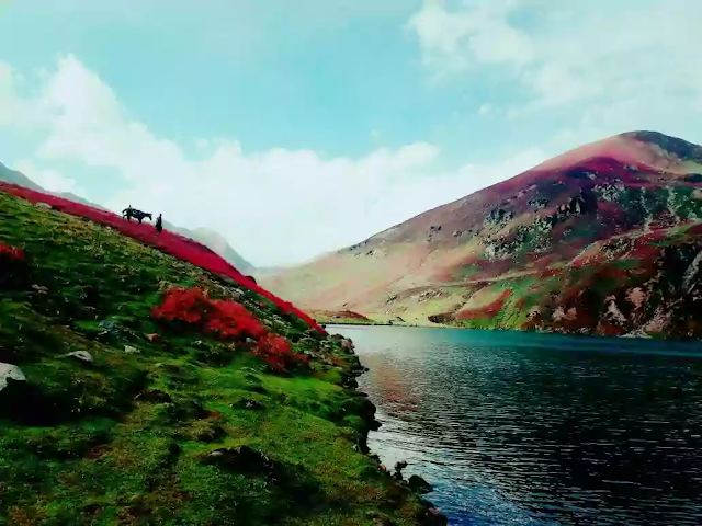 Guide to Ratti Gali Lake Trek in Neelum Valley, Azad Kashmir