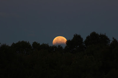 October full moon 2014