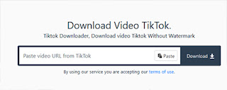 tiktok video download tanpa watermark