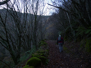  Devesa da Rogueira. Serra do Courel