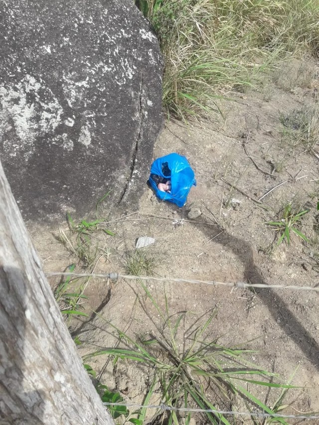 FETO É ENCONTRADO DENTRO DE BOLSA PLÁSTICA NA ZONA RURAL DE LAGOA DOS GATOS